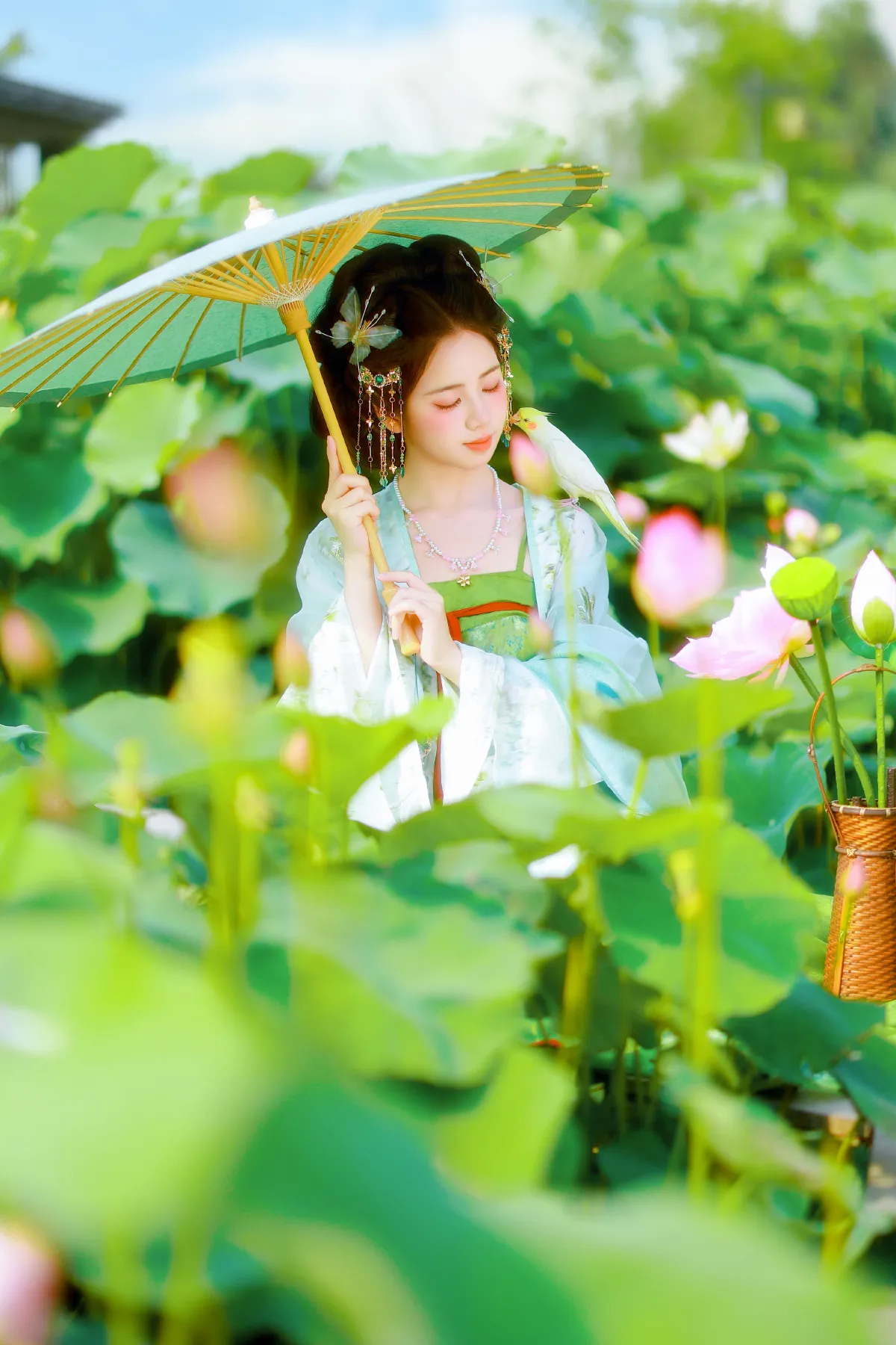 荷叶叶_小杜同学《小荷塘》美图作品图片3