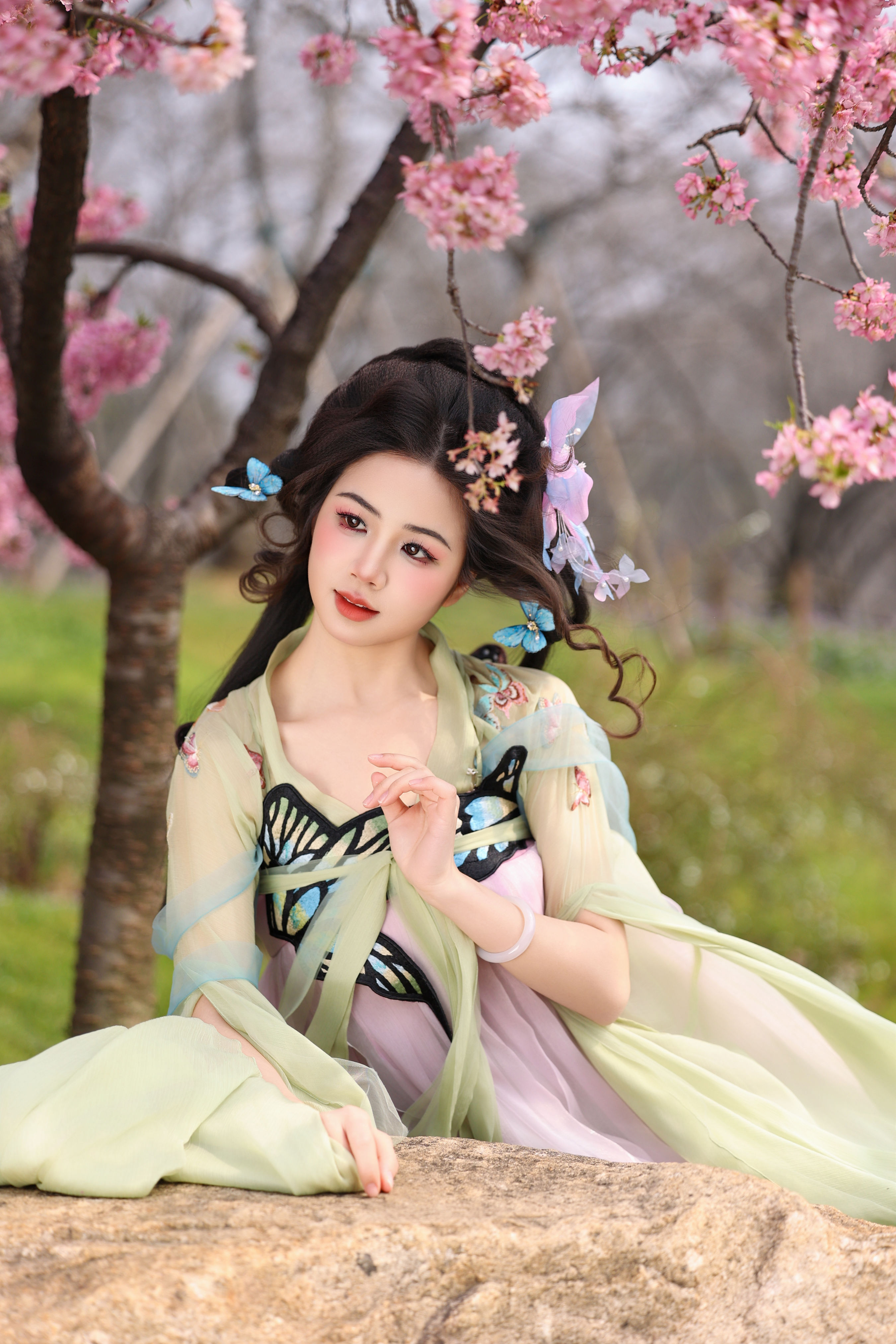 蝴蝶梦1