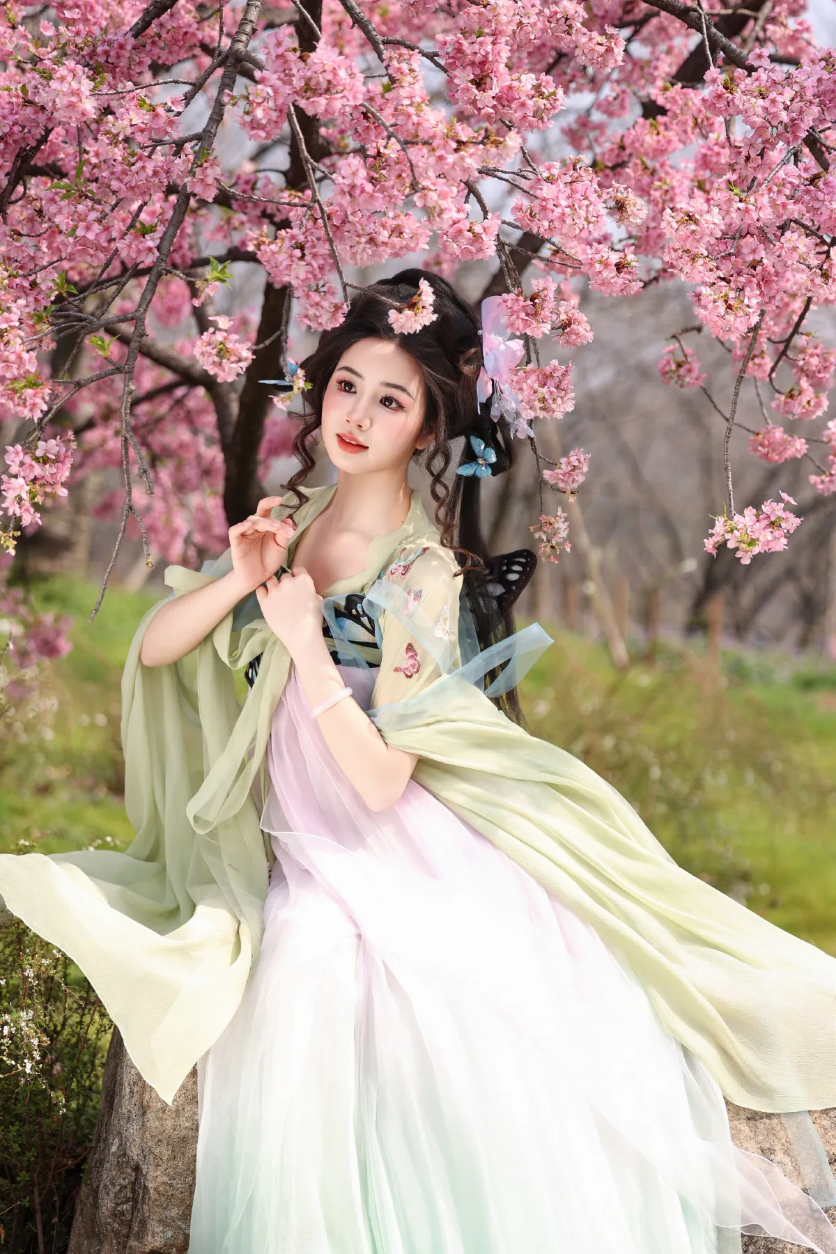 蝴蝶梦2