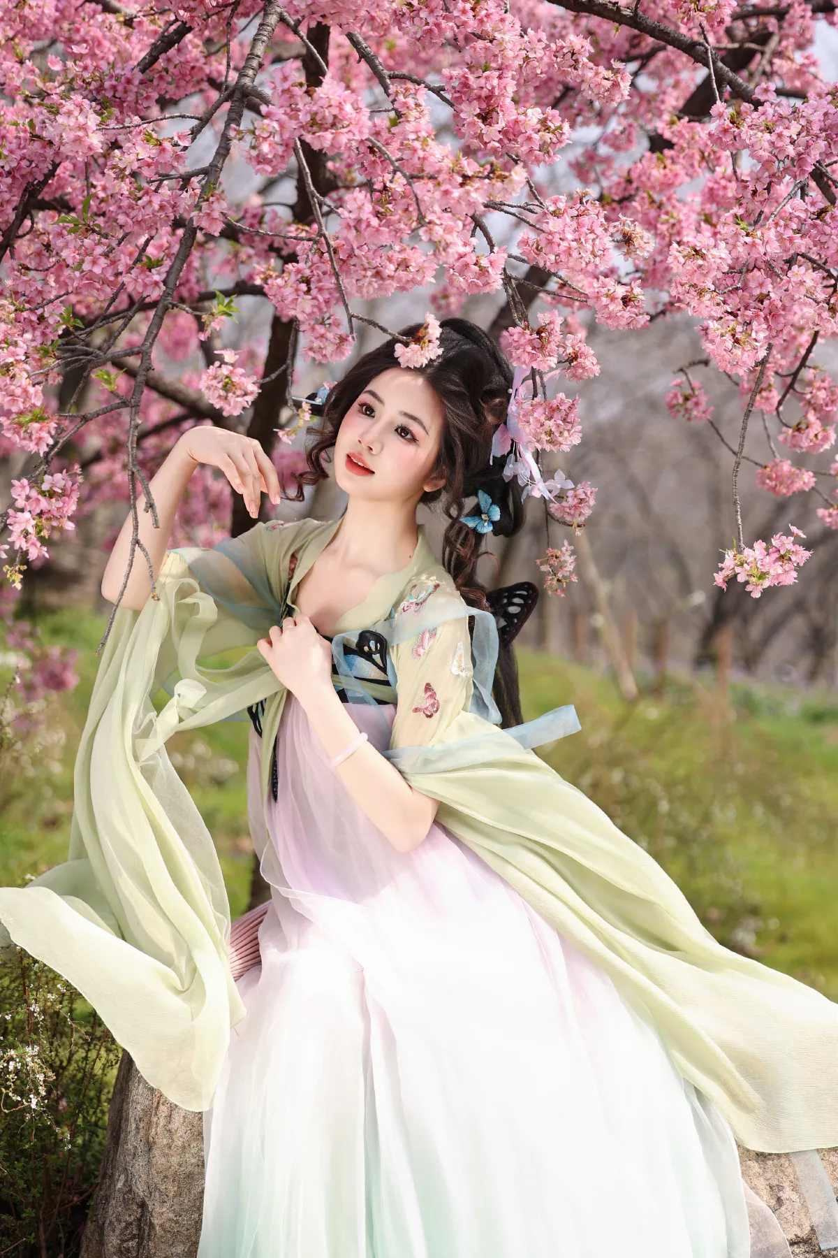 蝴蝶梦3