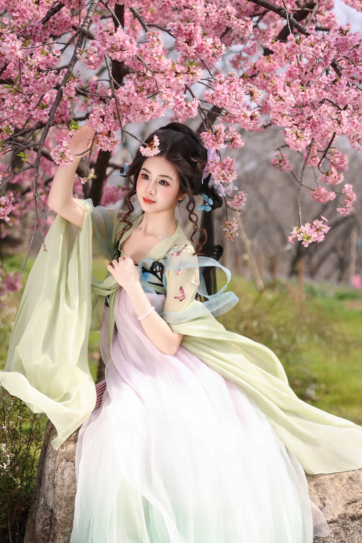 蝴蝶梦4