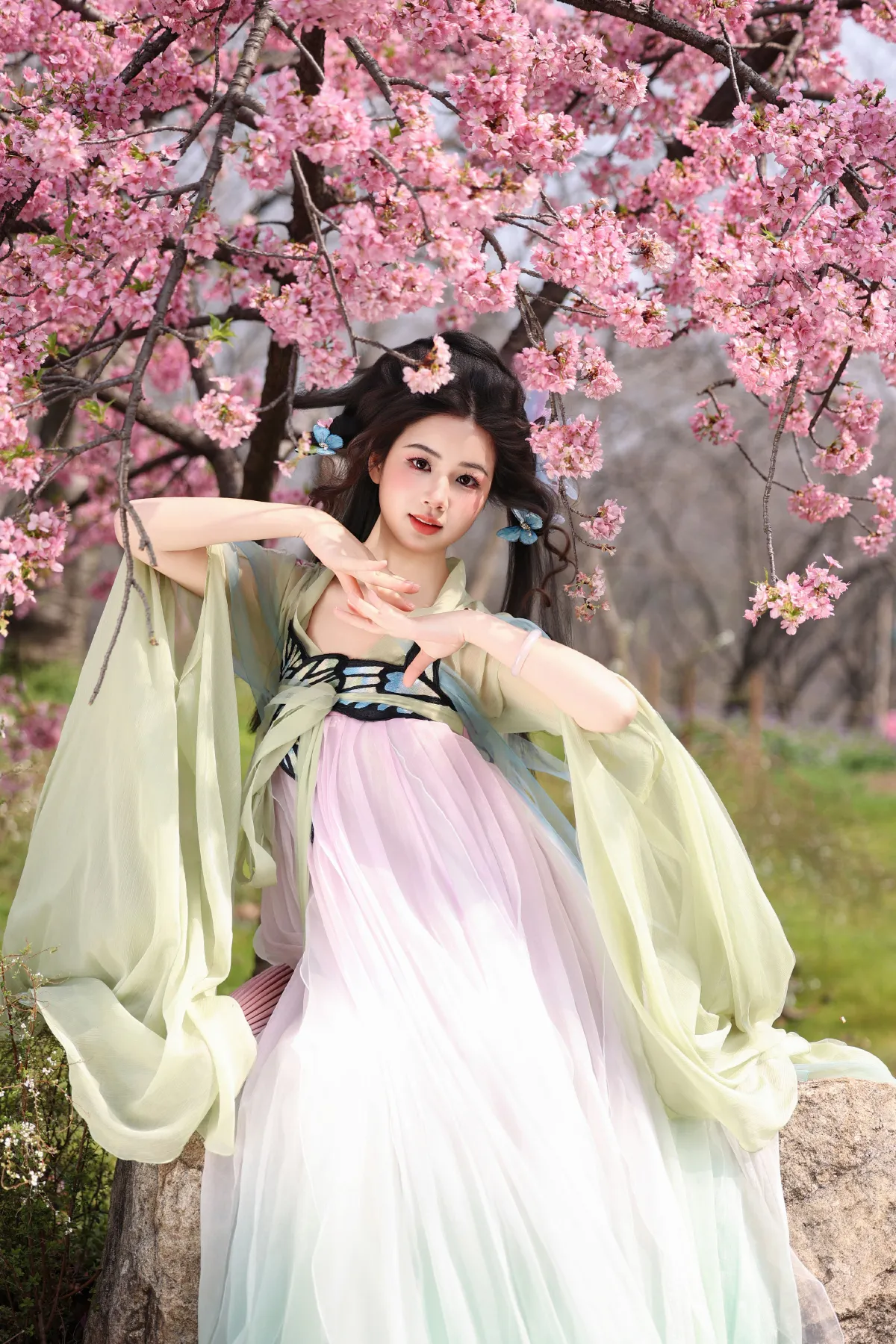 蝴蝶梦5