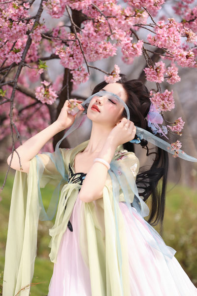 蝴蝶梦