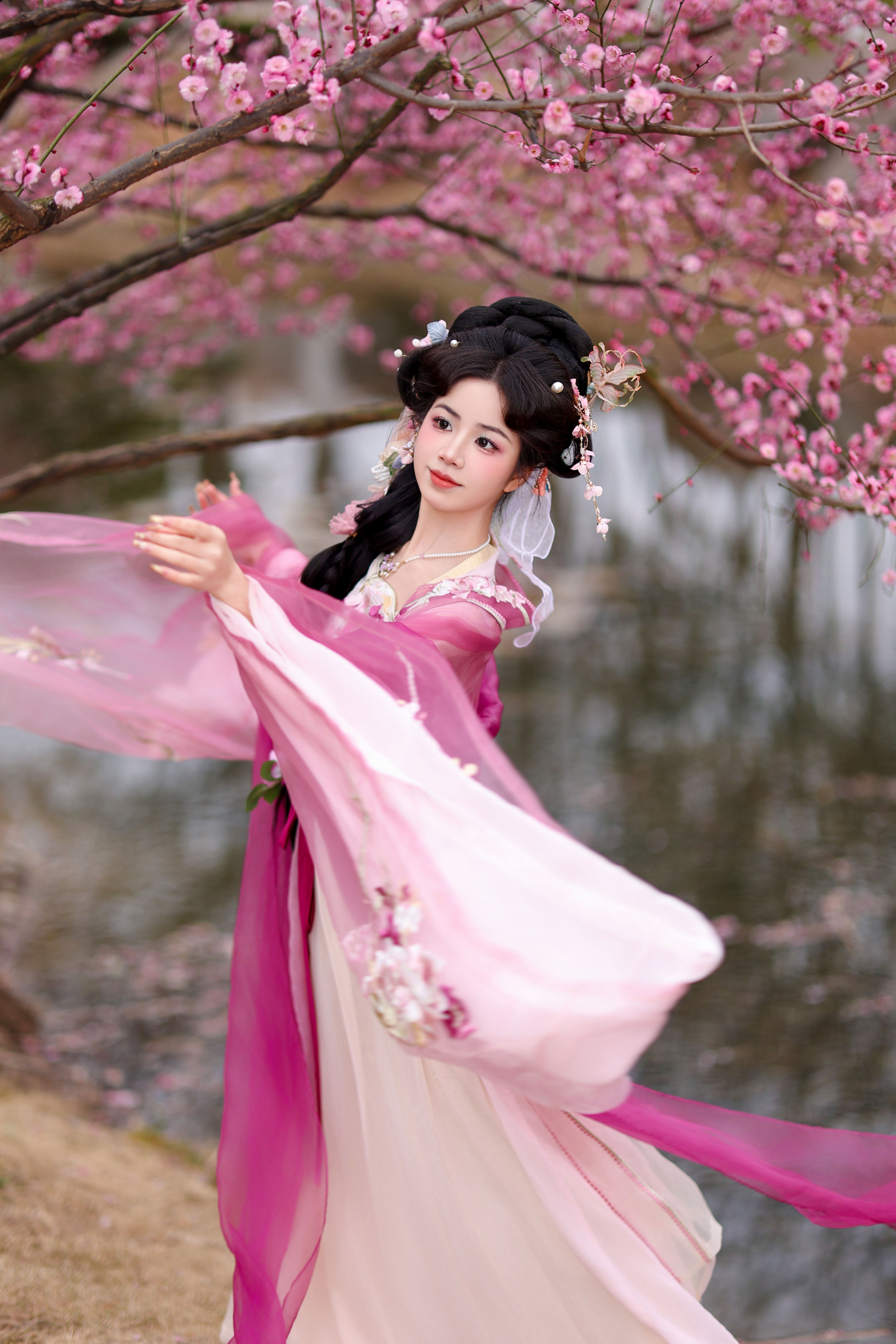 芍药1