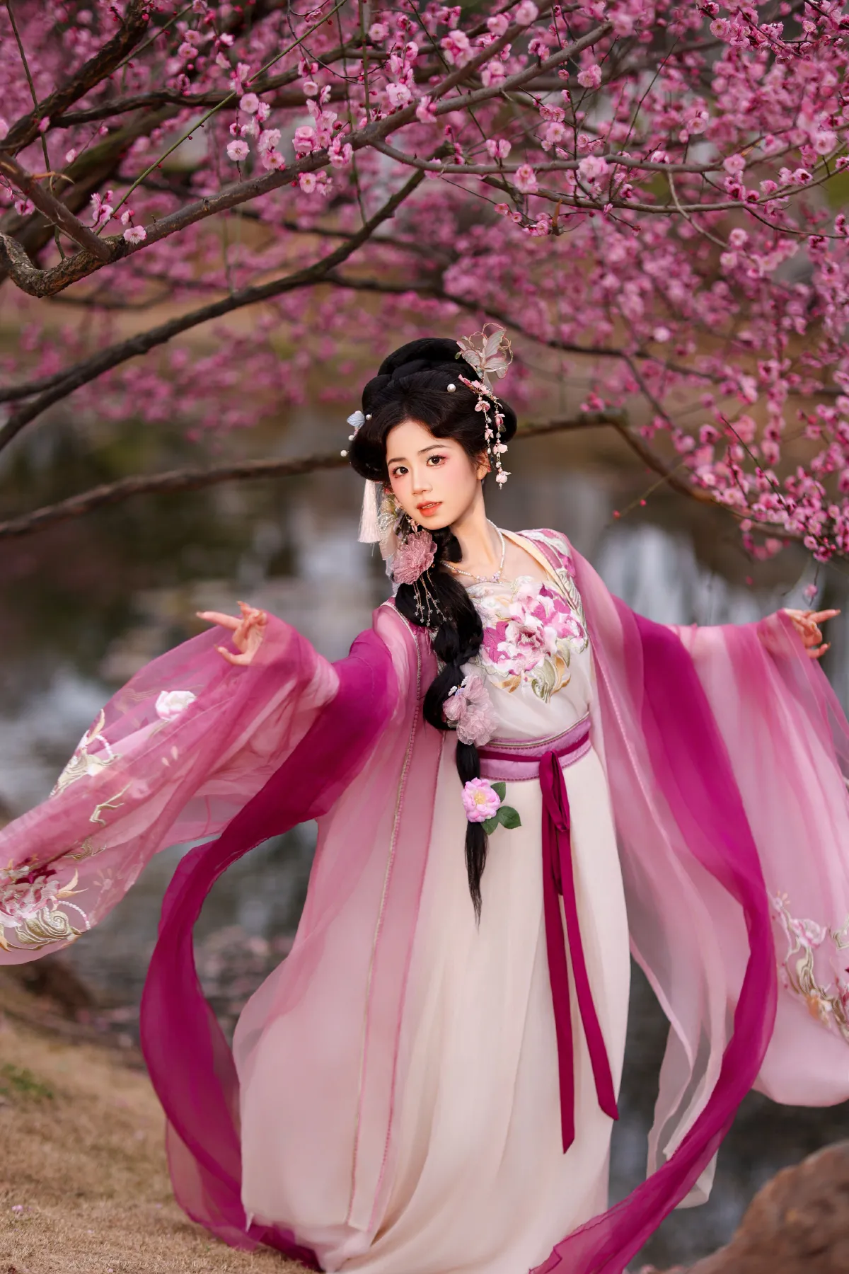 芍药2