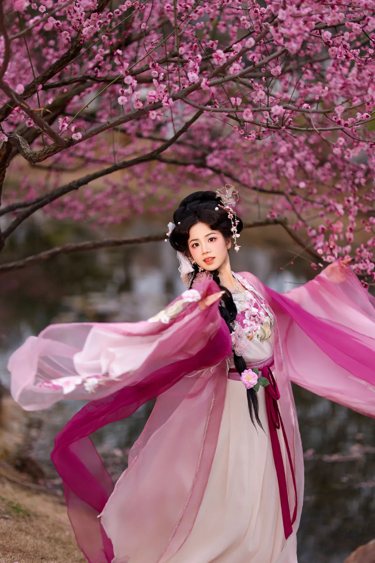 芍药3