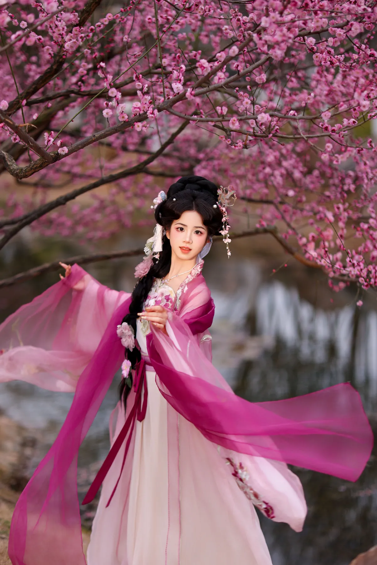芍药4