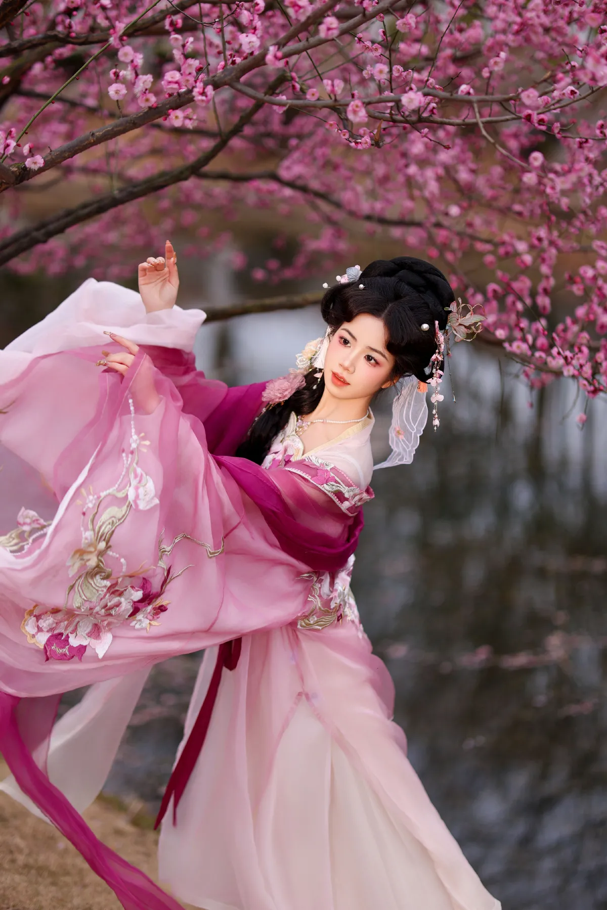 芍药5