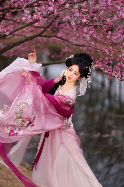 芍药