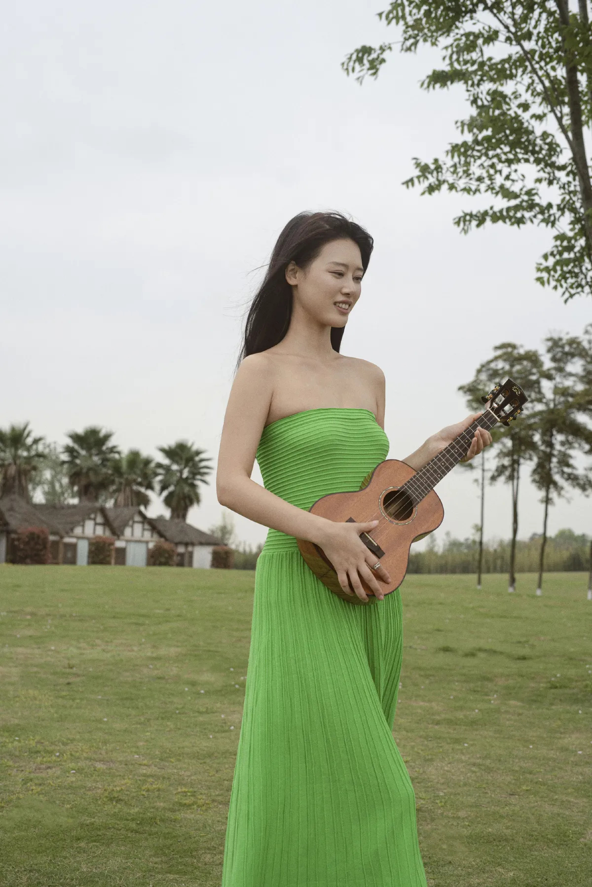 Ukulele4