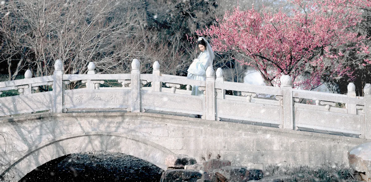 扶卮_荷里寒《琉璃世界，白雪红梅》美图作品图片3
