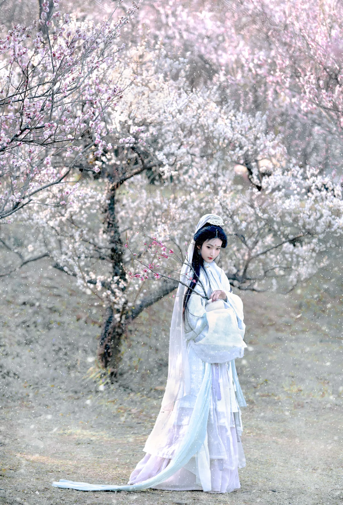 扶卮_荷里寒《琉璃世界，白雪红梅》美图作品图片5