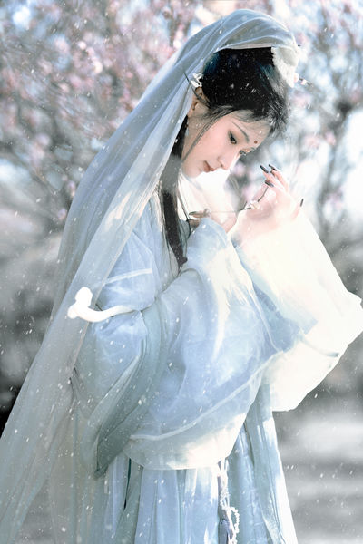 琉璃世界，白雪红梅