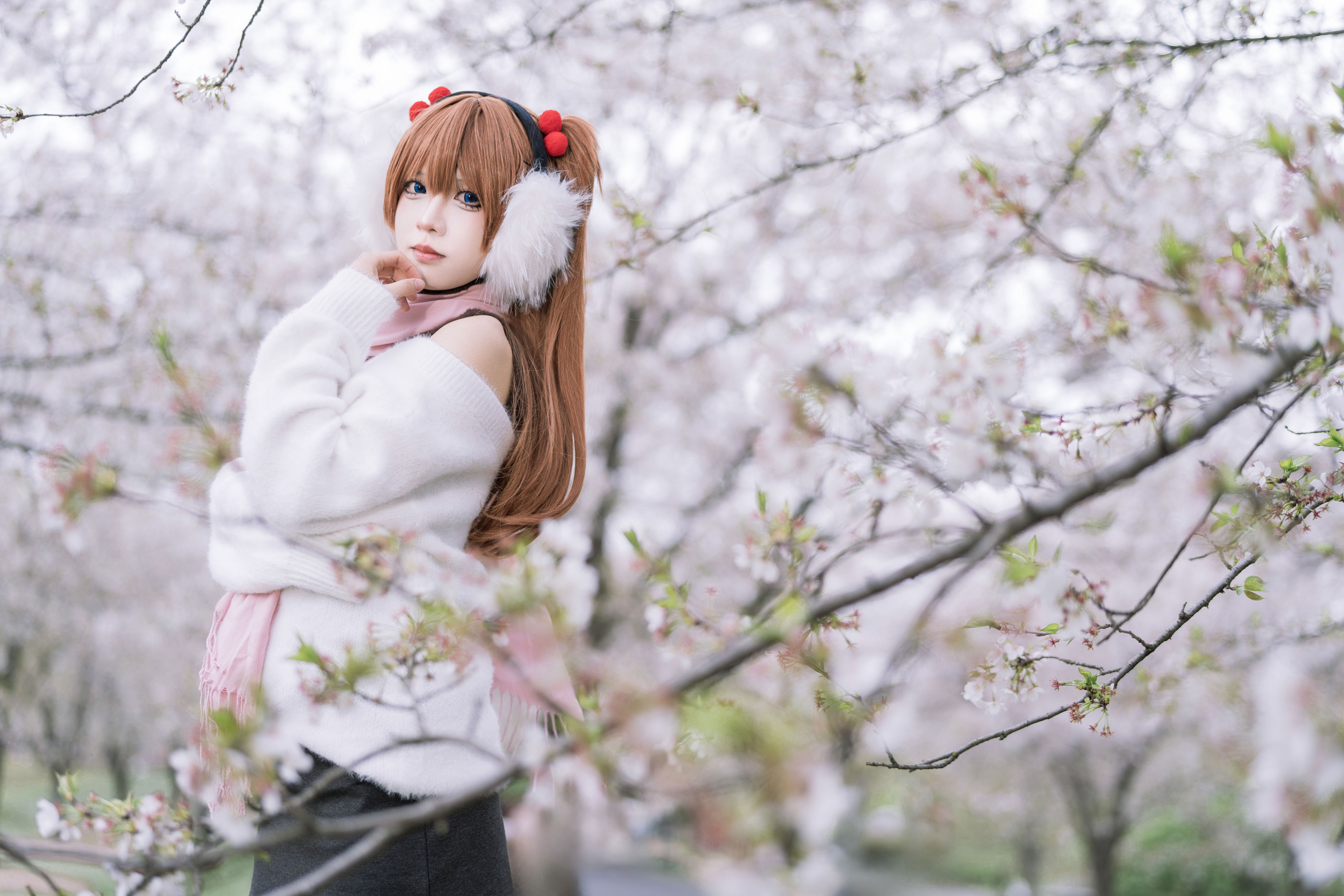 静怡樱花林
