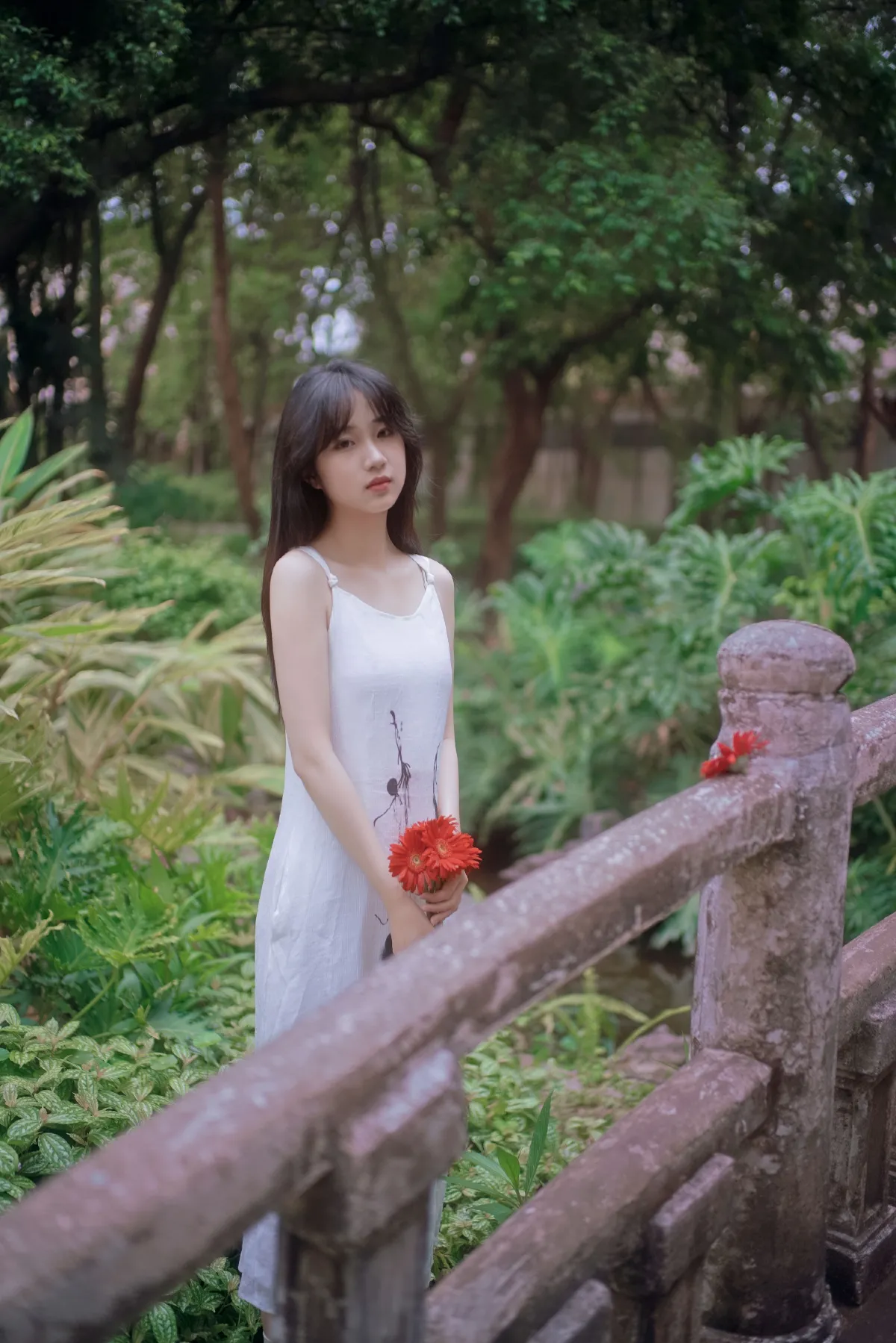 花舞青春