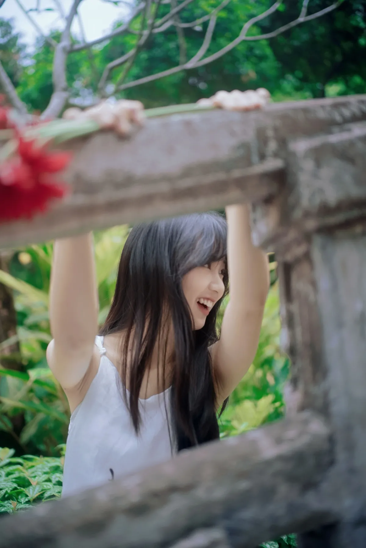 花舞青春