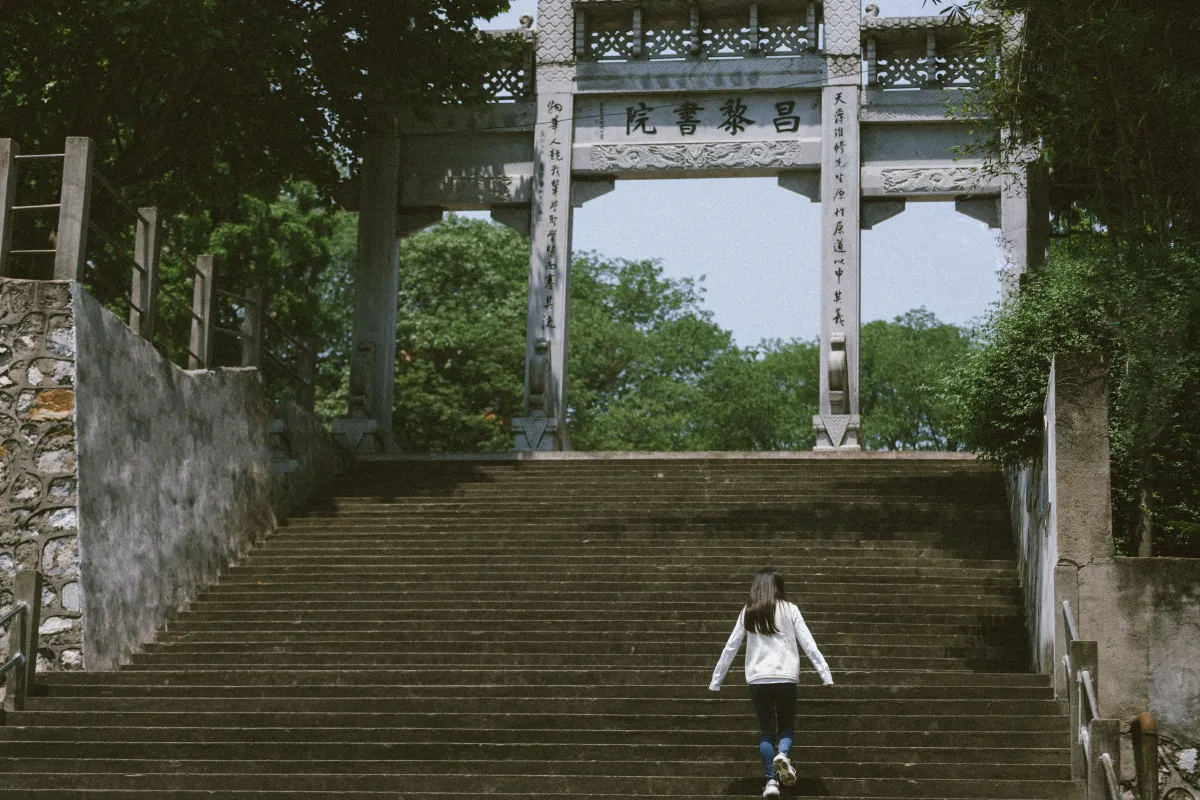 梦回校园
