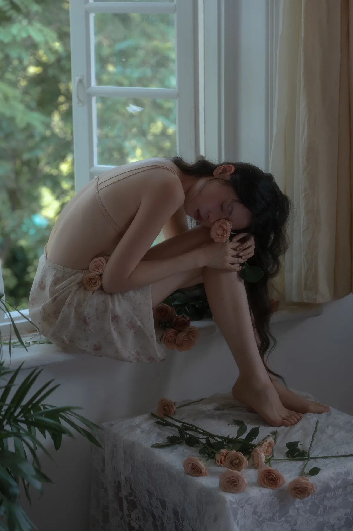 一只小黑王_蔡景梵《蝶恋花》美图作品图片3