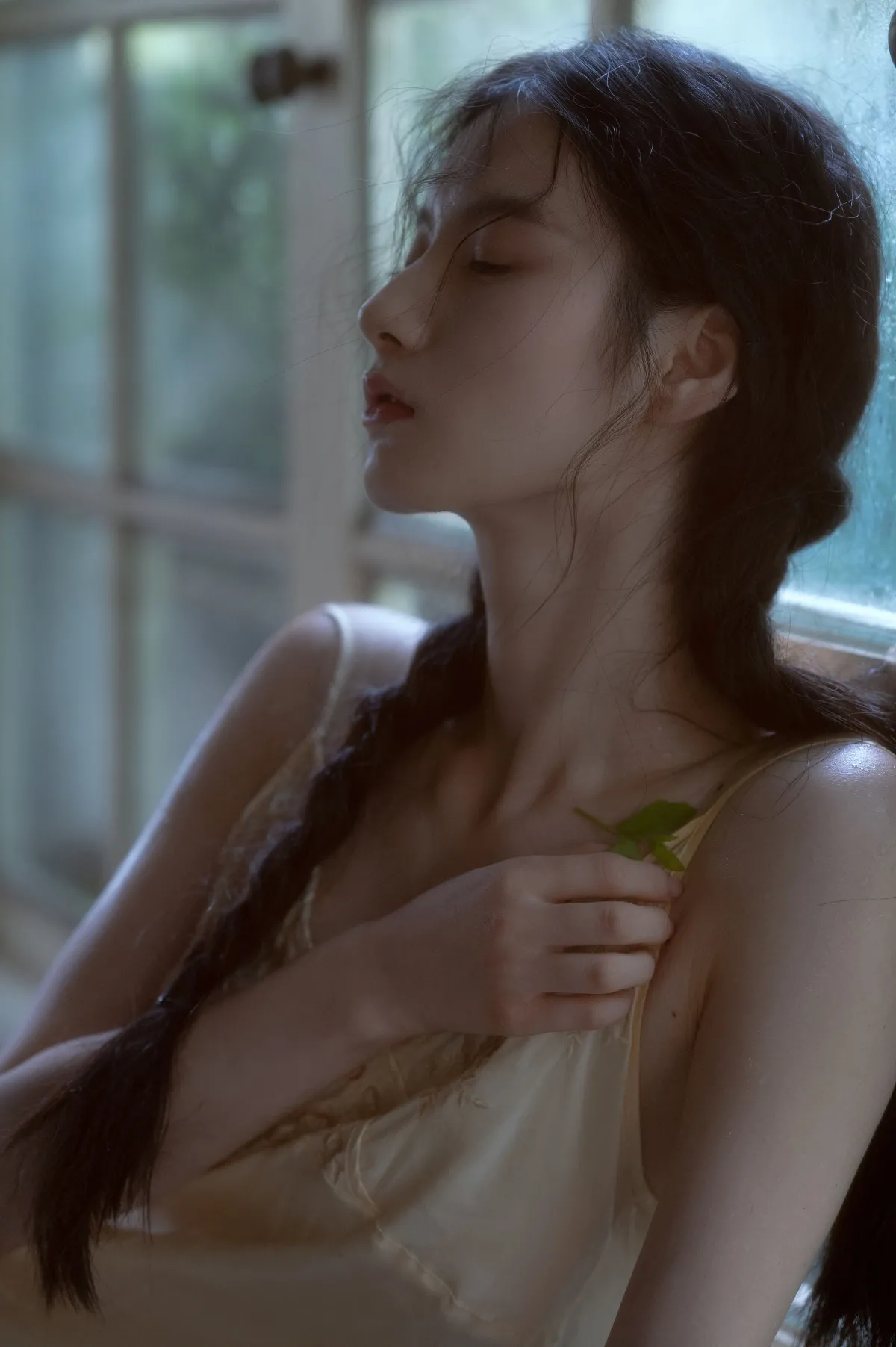 一只小黑王_tree《贝拉花园》美图作品图片4