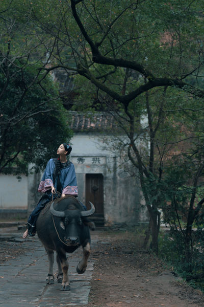 时间停在她骑着牛背的那年