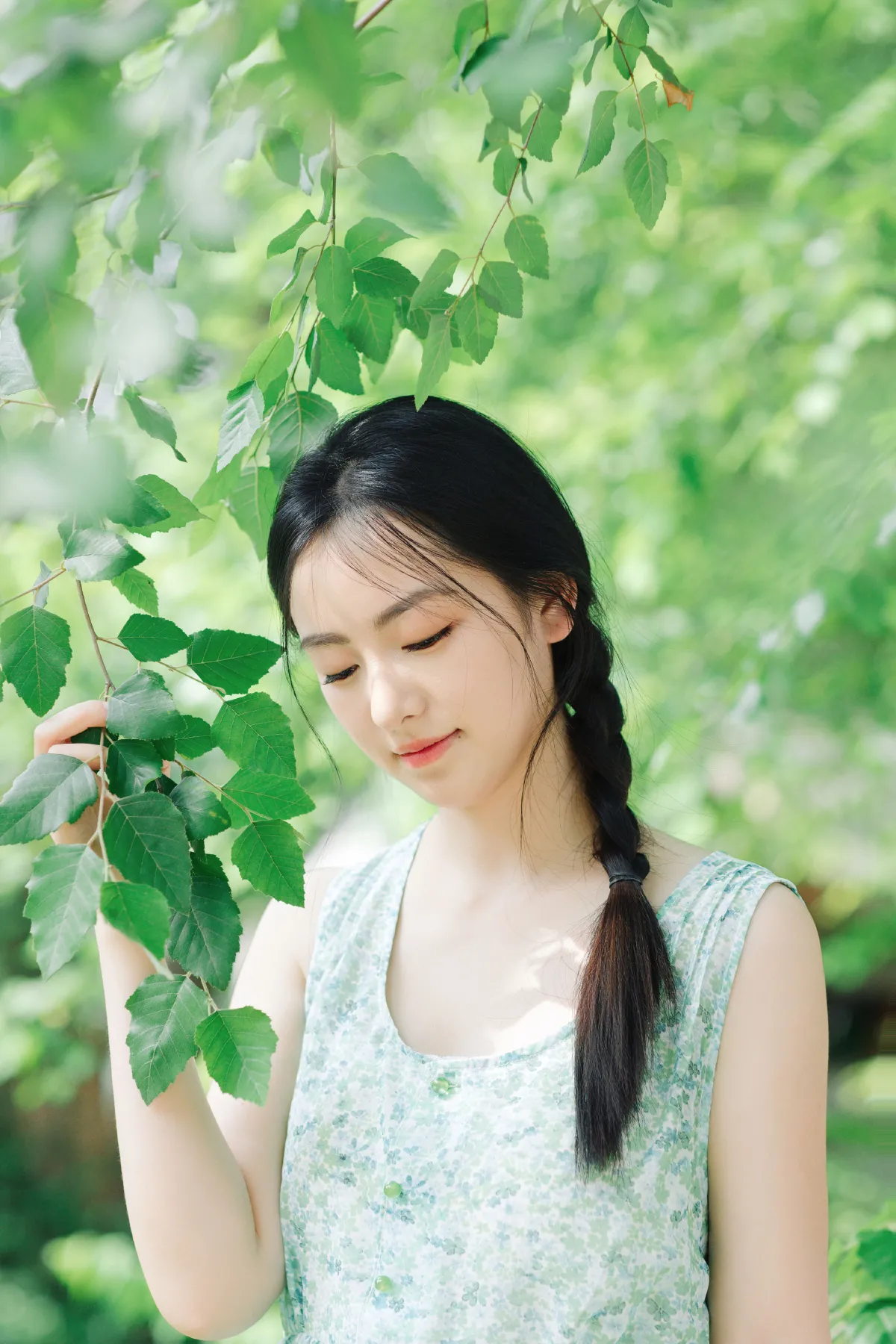 薄荷糖般的夏天