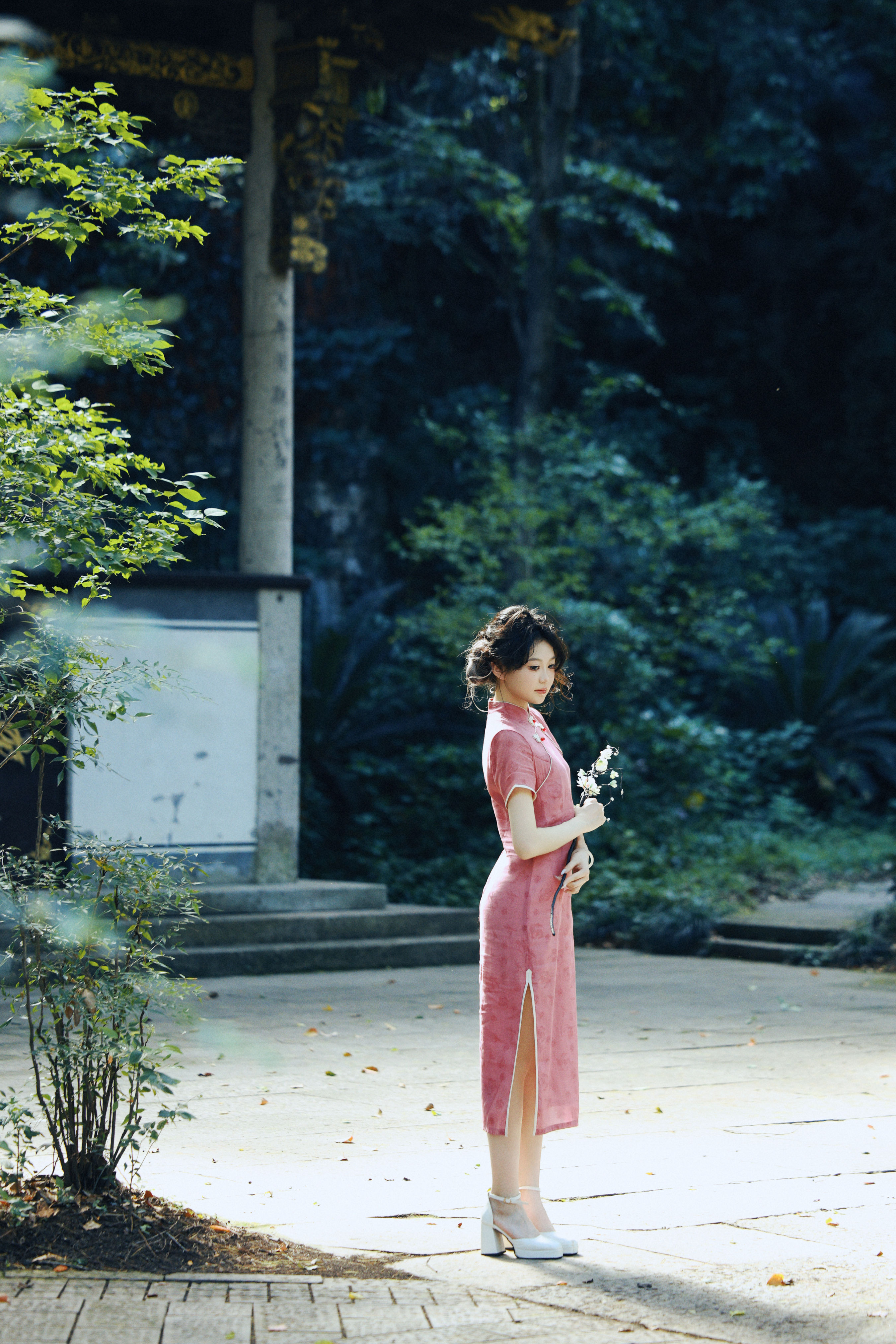 摄影师鹤白_晨曦《气质如兰 江南旗袍》美图作品图片1