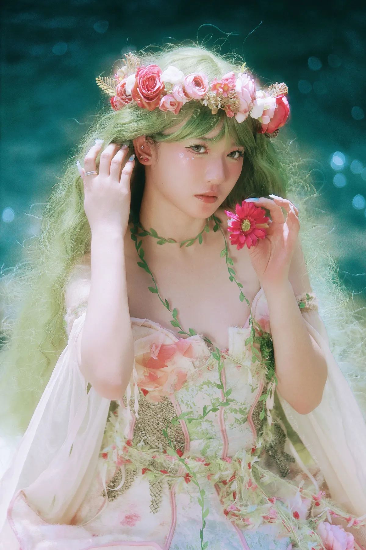 花神之约4