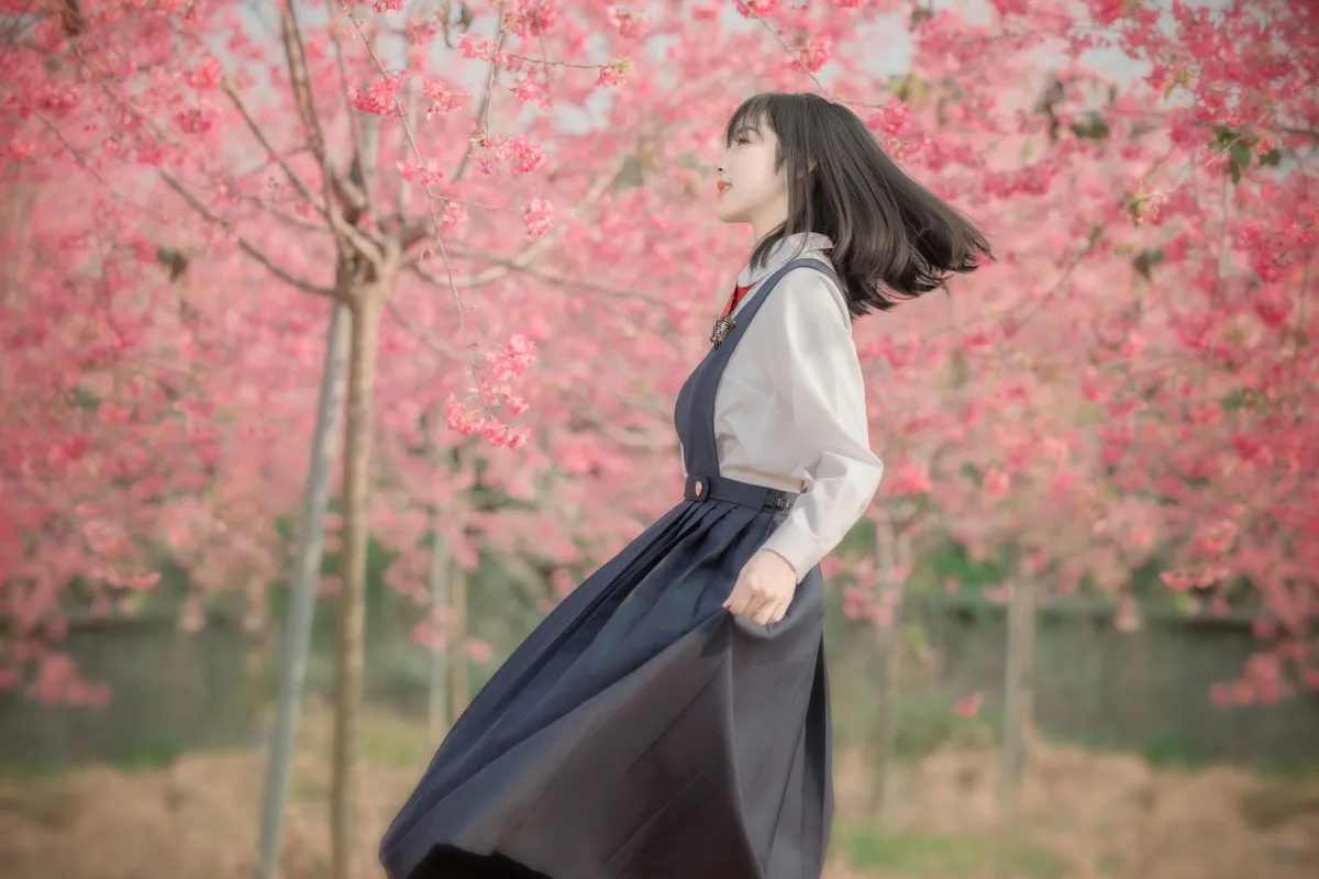樱花树下