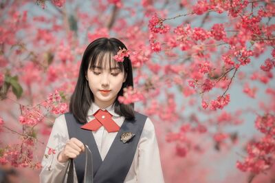 樱花树下