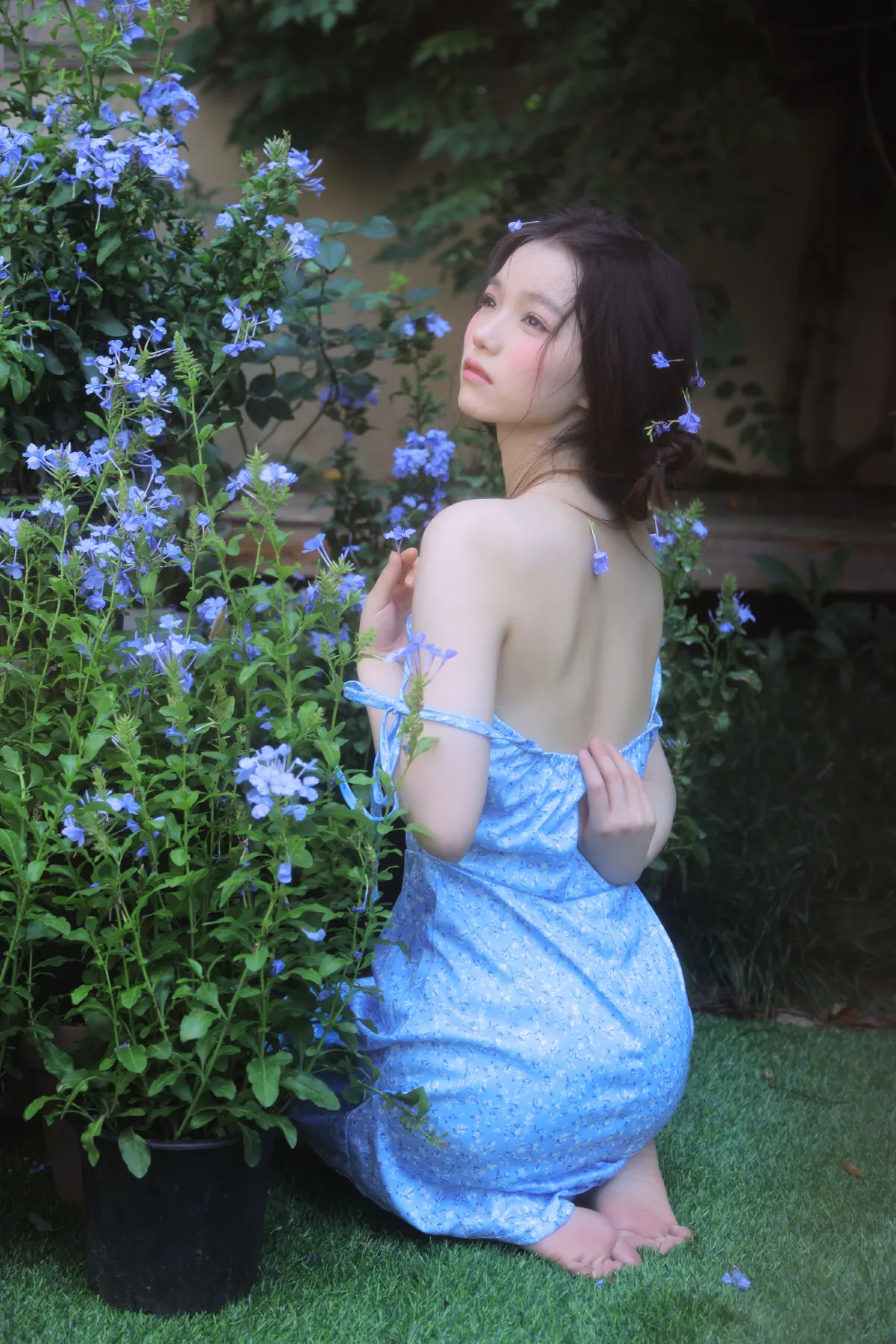 摄影师徐弯弯_不是酱紫《蓝雪花少女》美图作品图片5
