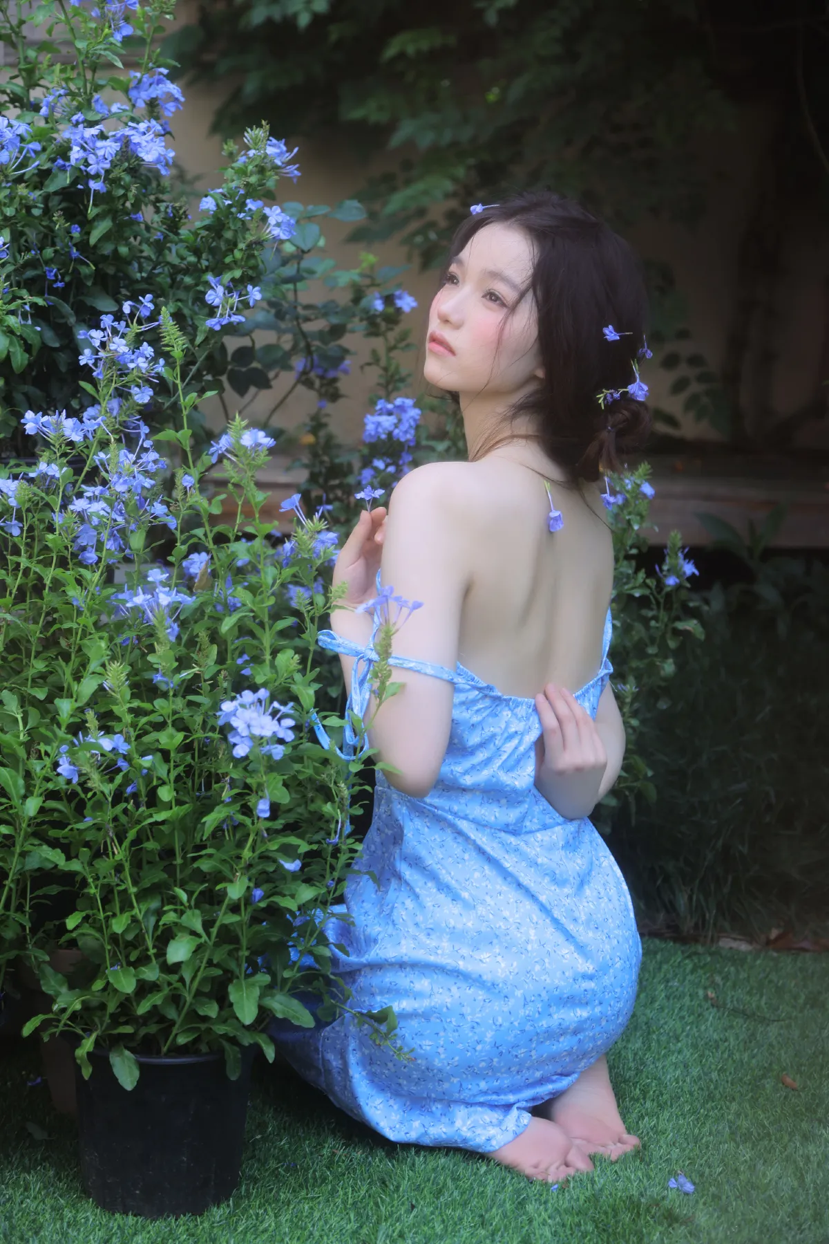 蓝雪花少女