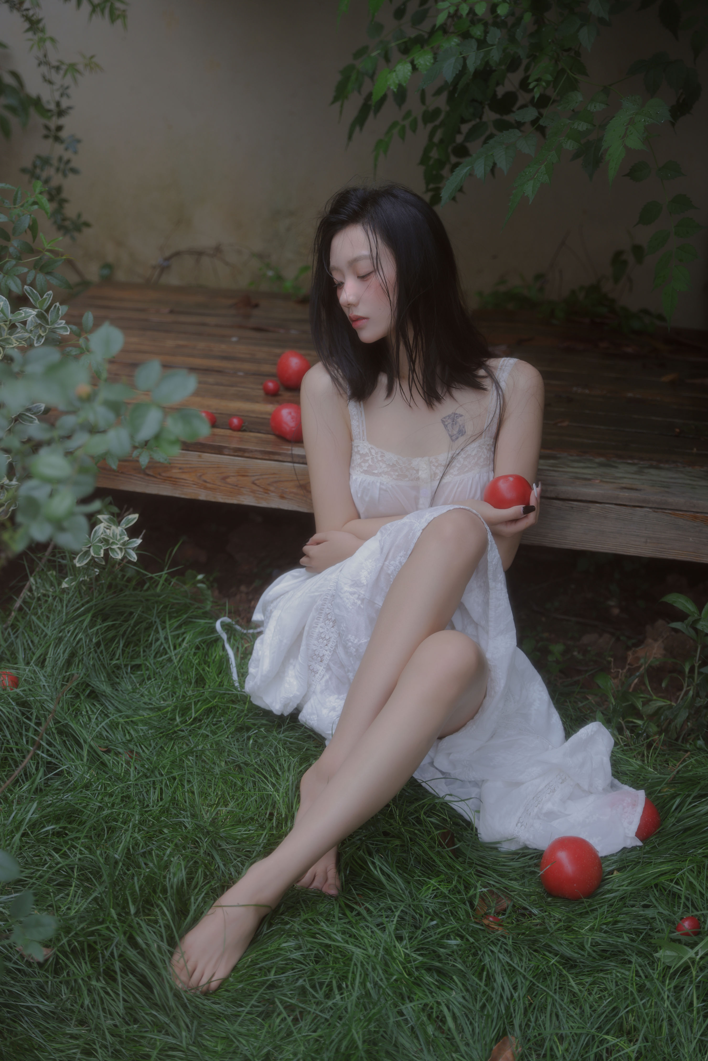 番茄红了1