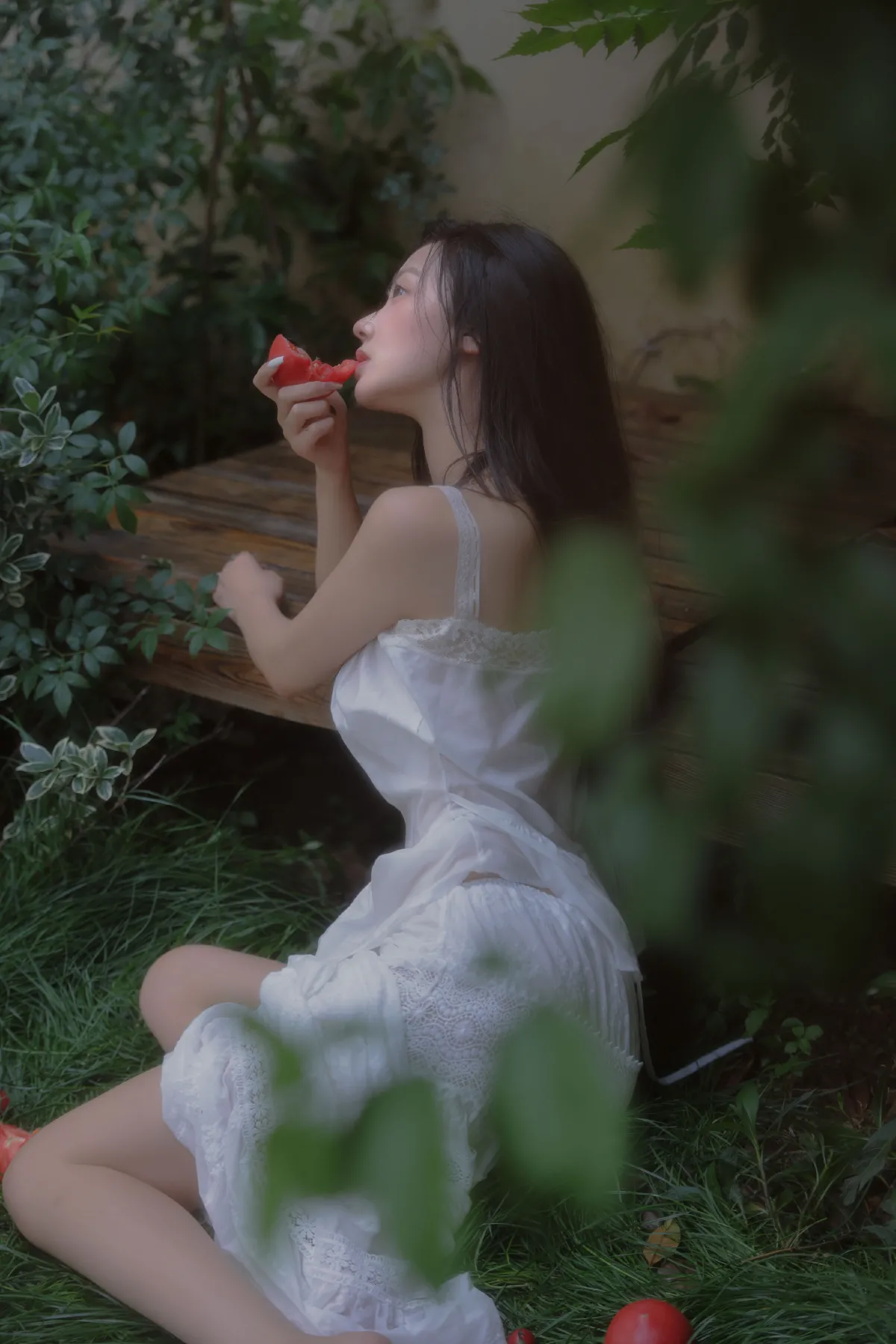 番茄红了