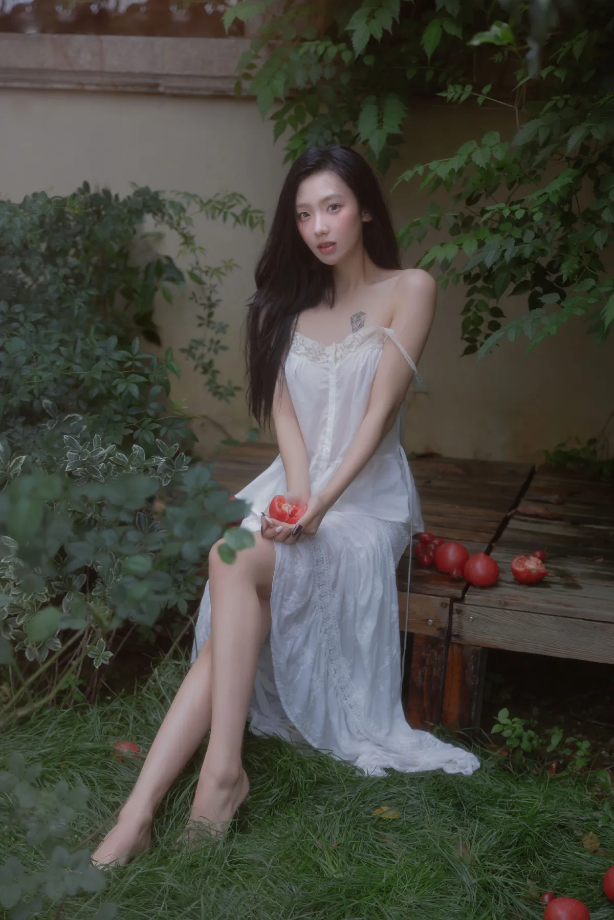 番茄红了5
