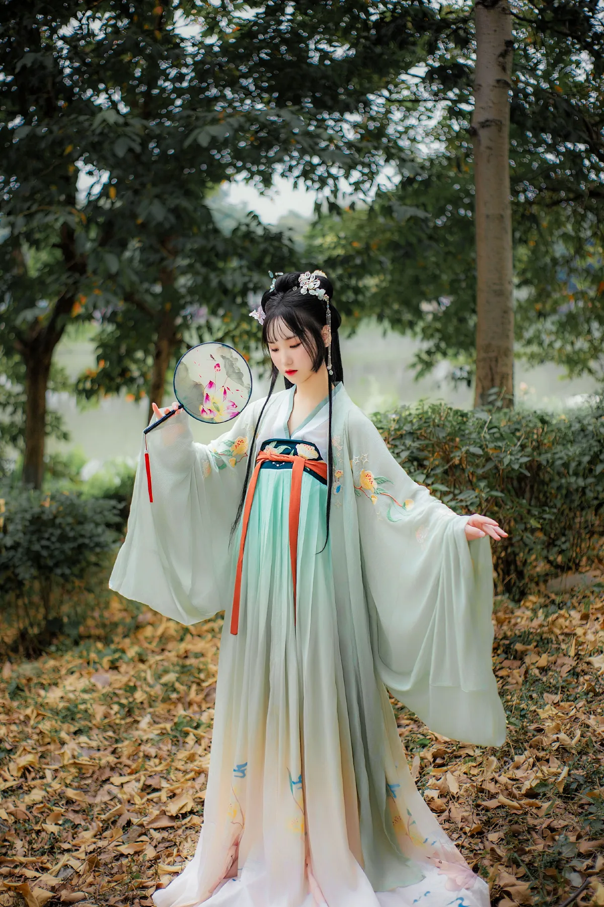 晓青衫4