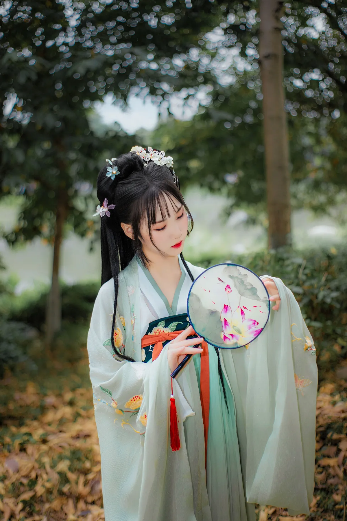 晓青衫5