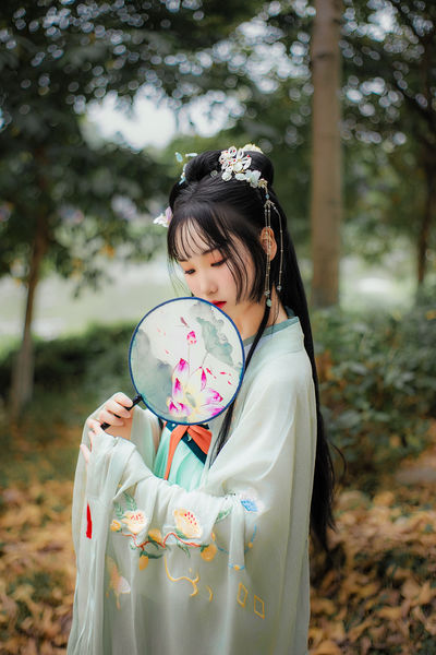 晓青衫
