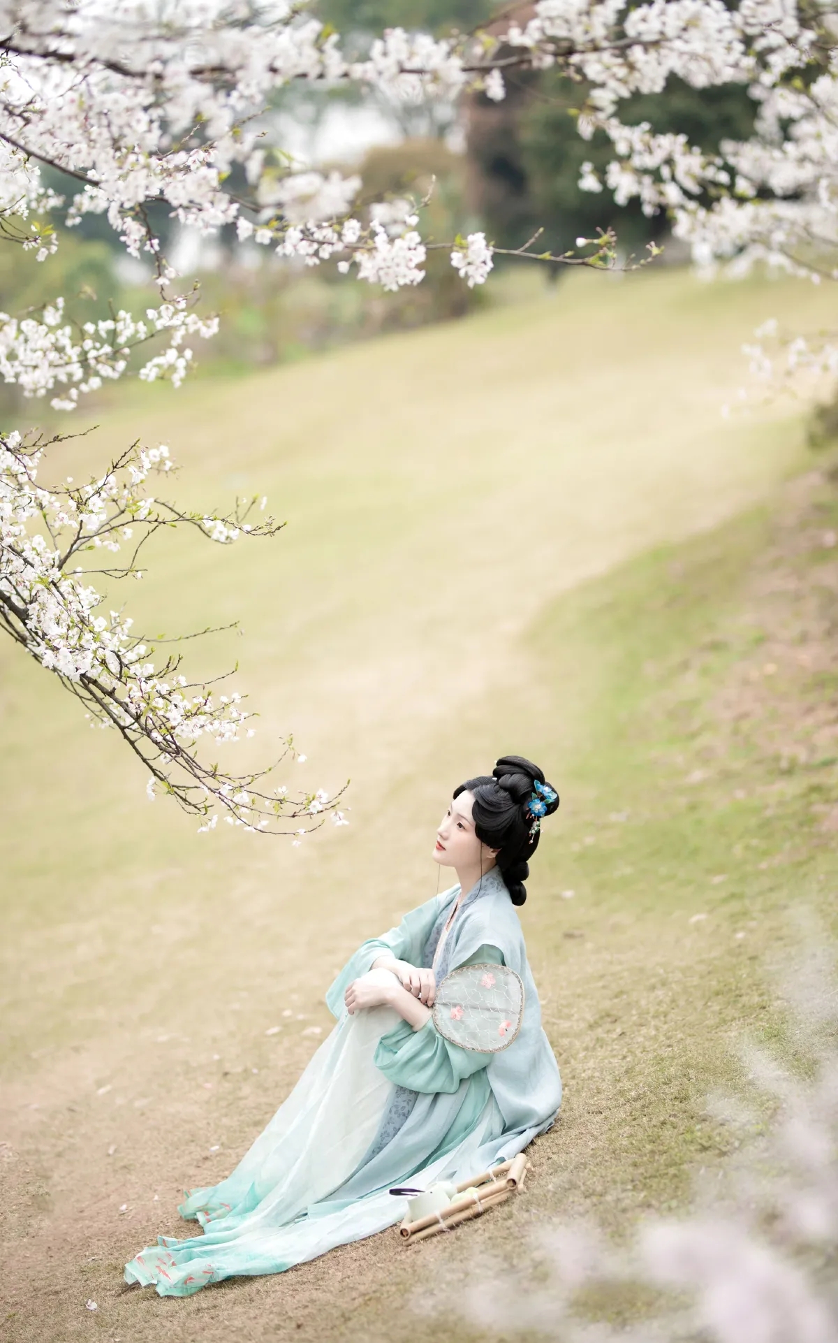 落樱拂素衣