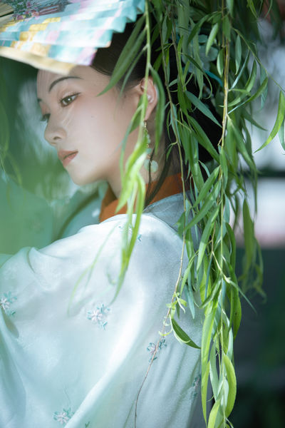 绿柳亭前