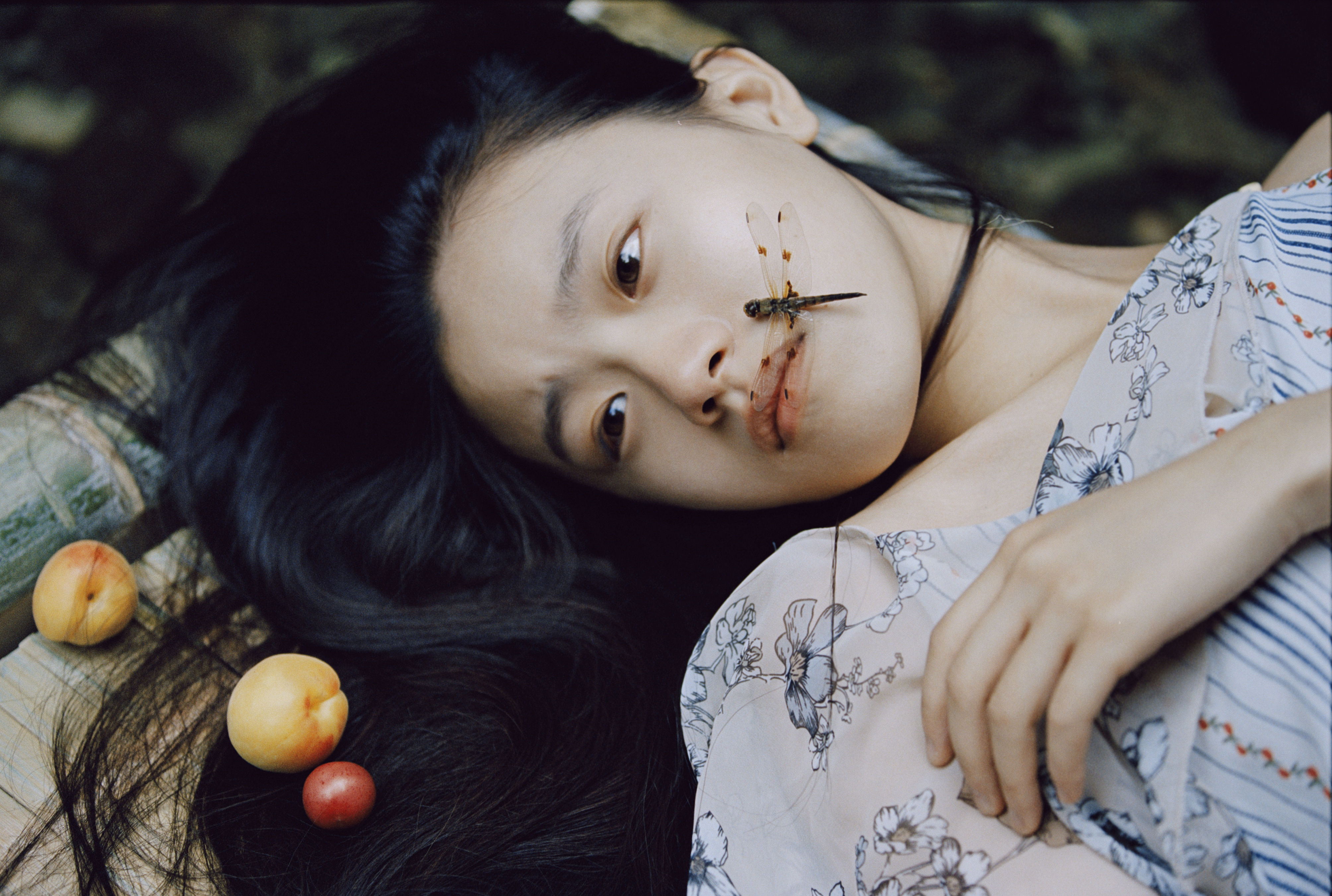 蜻蜓之梦1