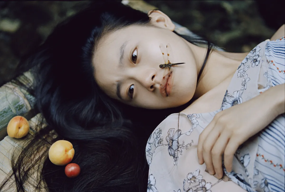 蜻蜓之梦1