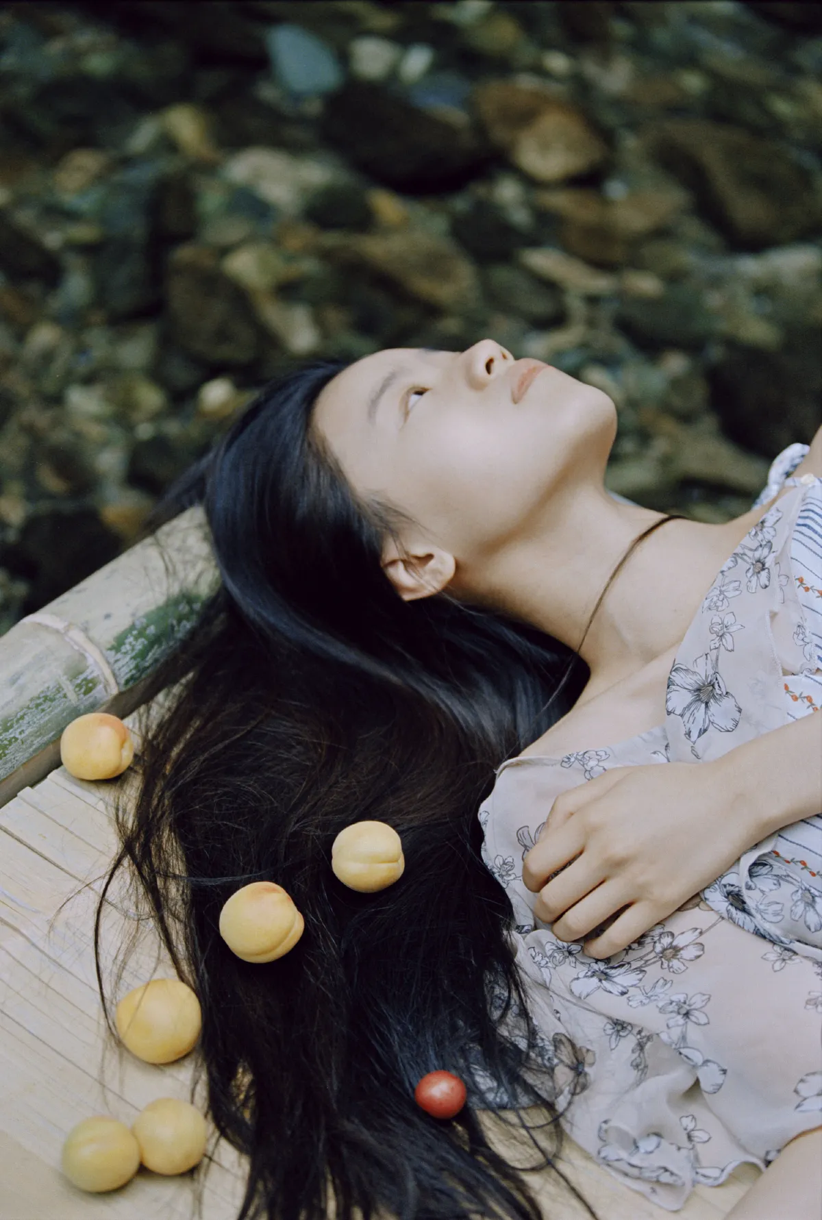 蜻蜓之梦4