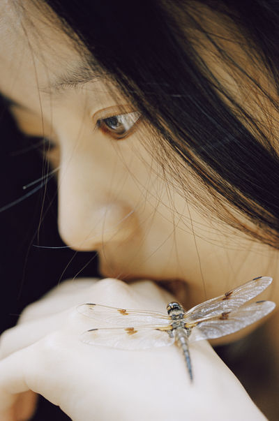 蜻蜓之梦