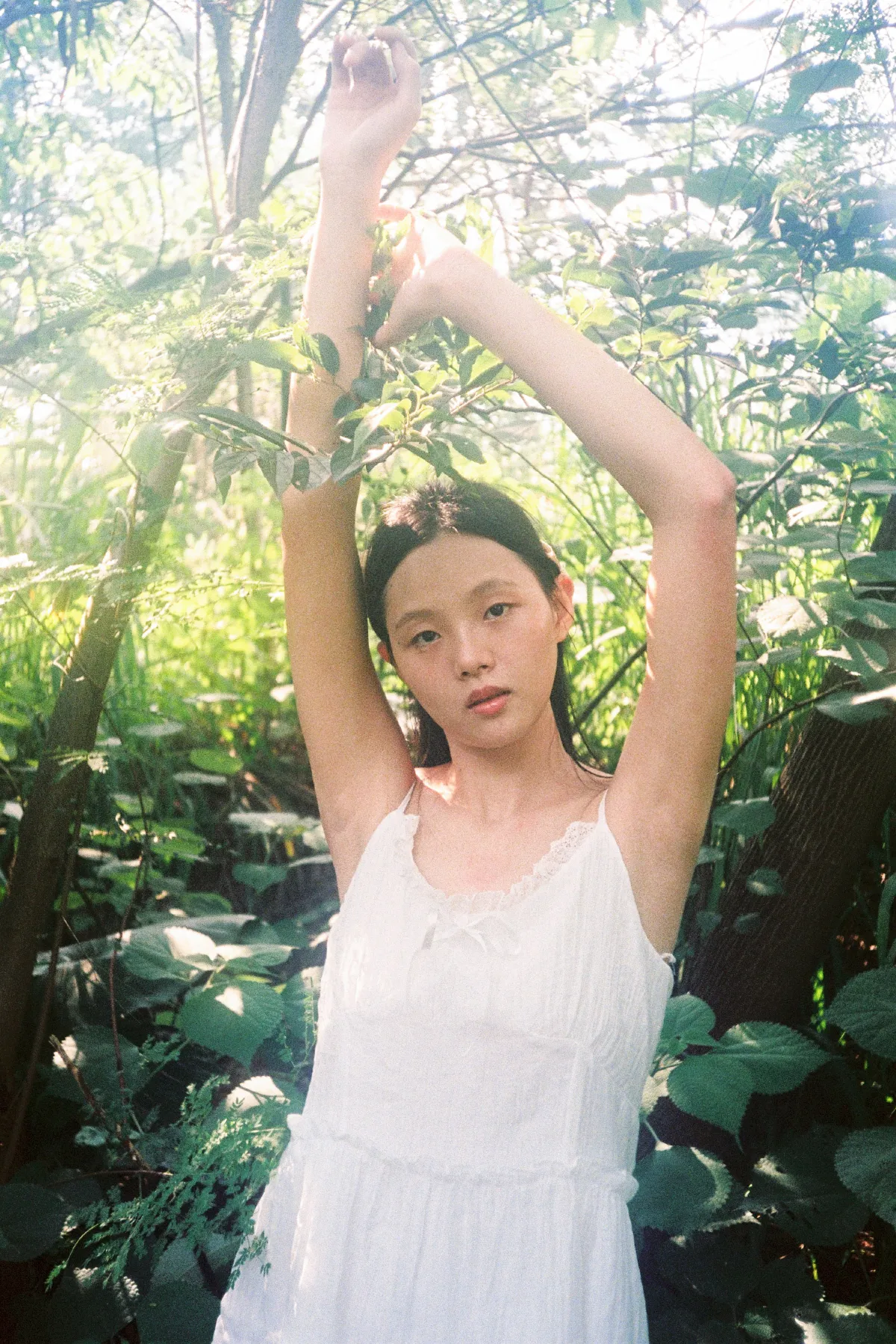 树是另一种意义的海5