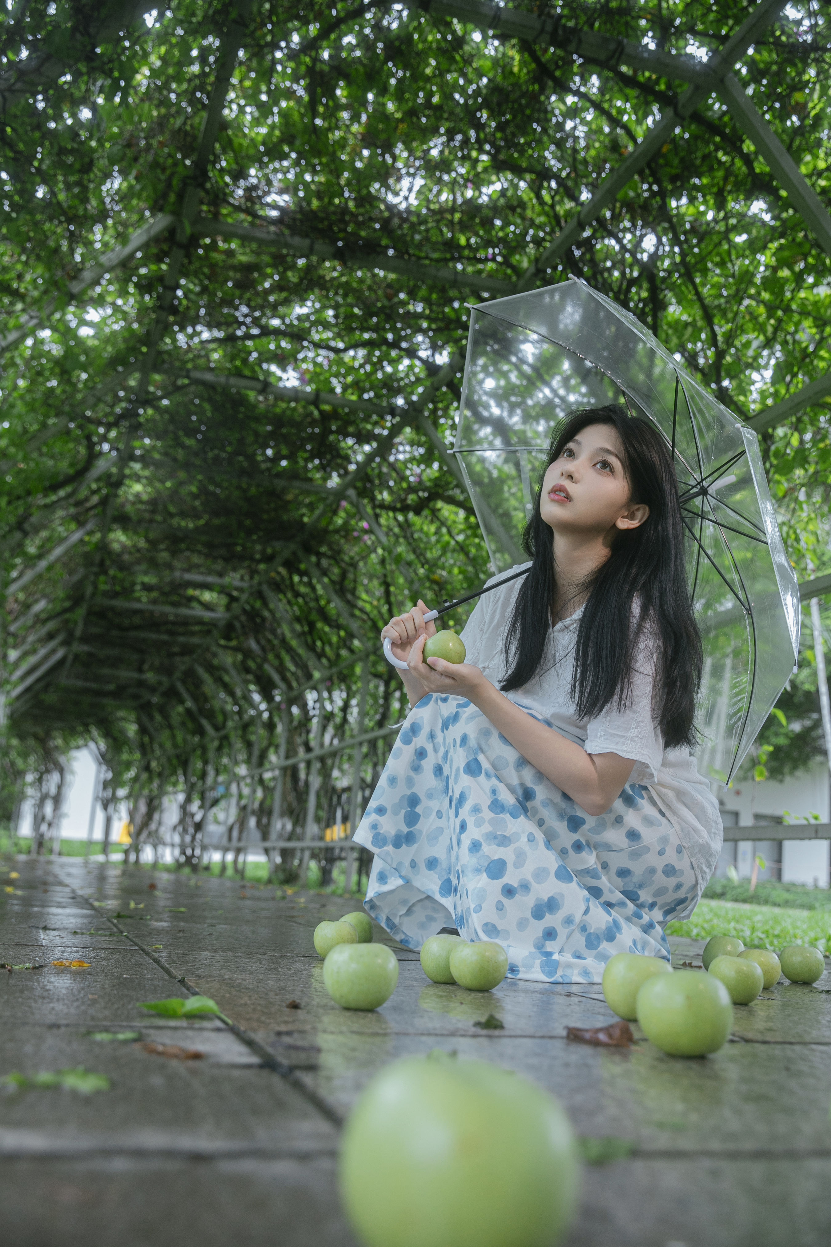 青苹果1