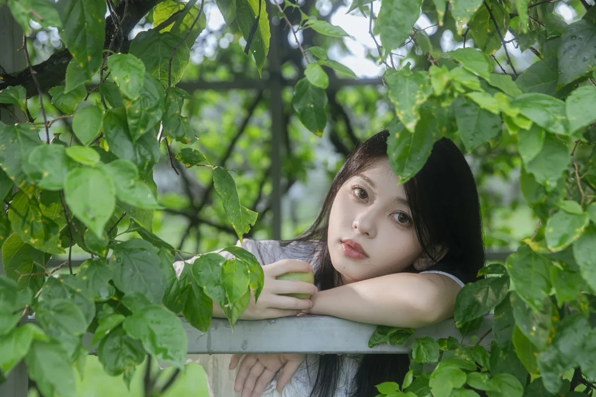 青苹果