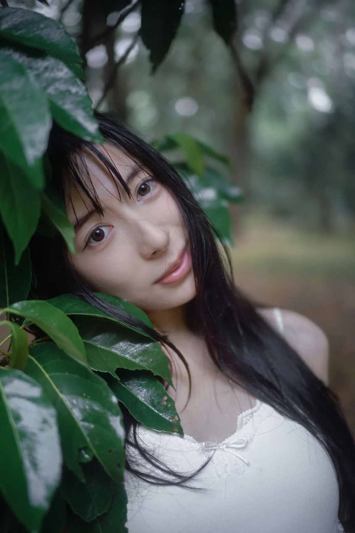 雨林微雨・少女的湿漉漉童话