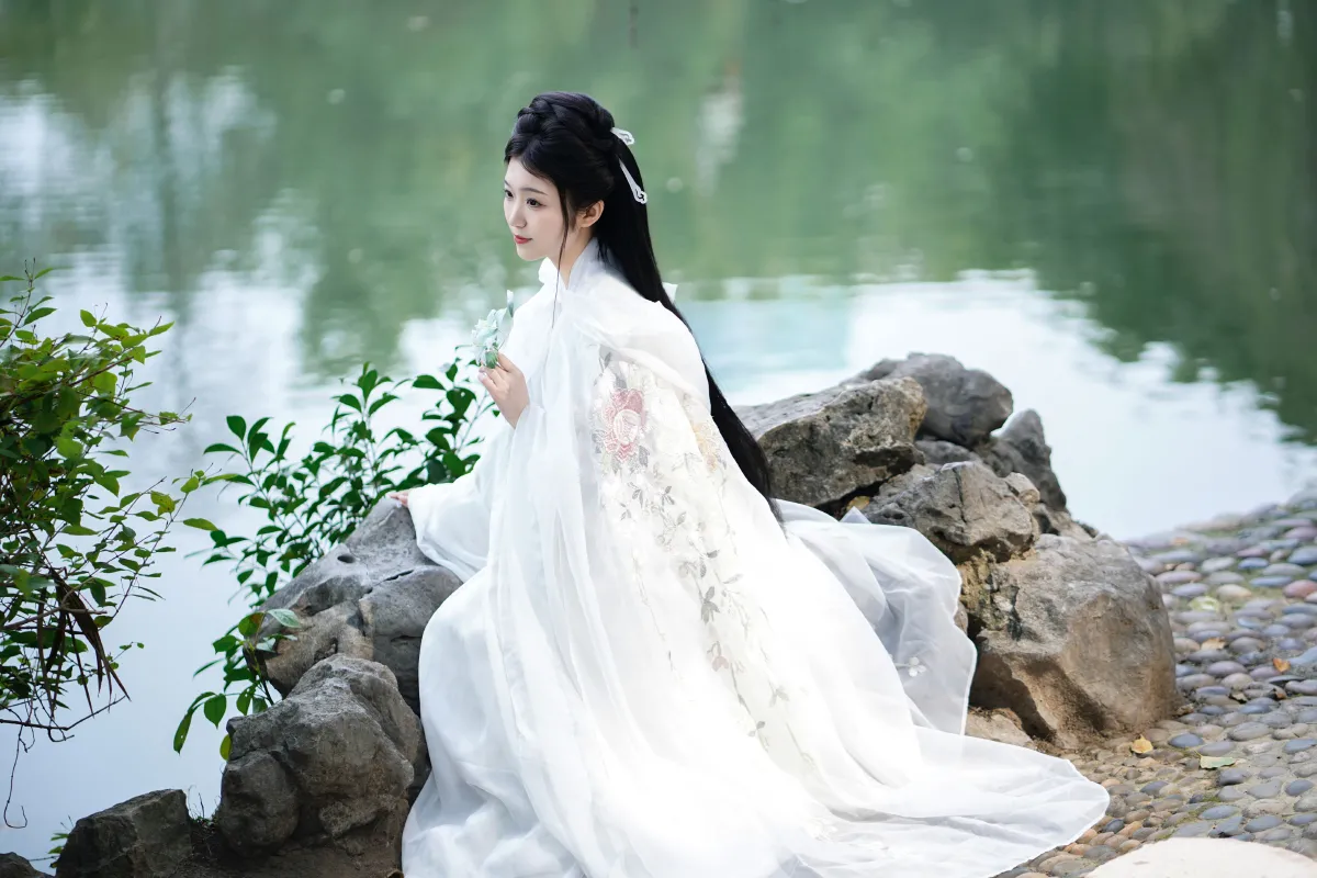 清光1