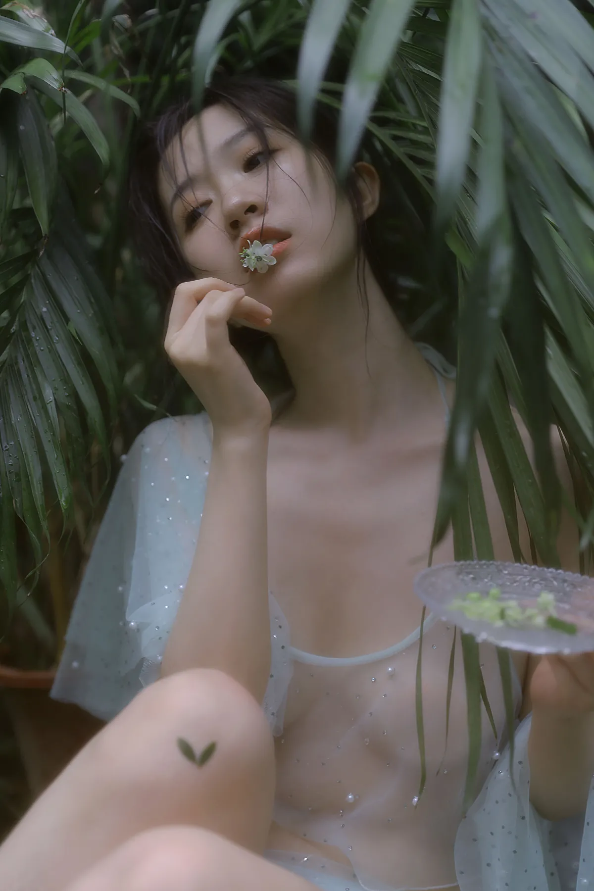 四时有序 流年半夏2