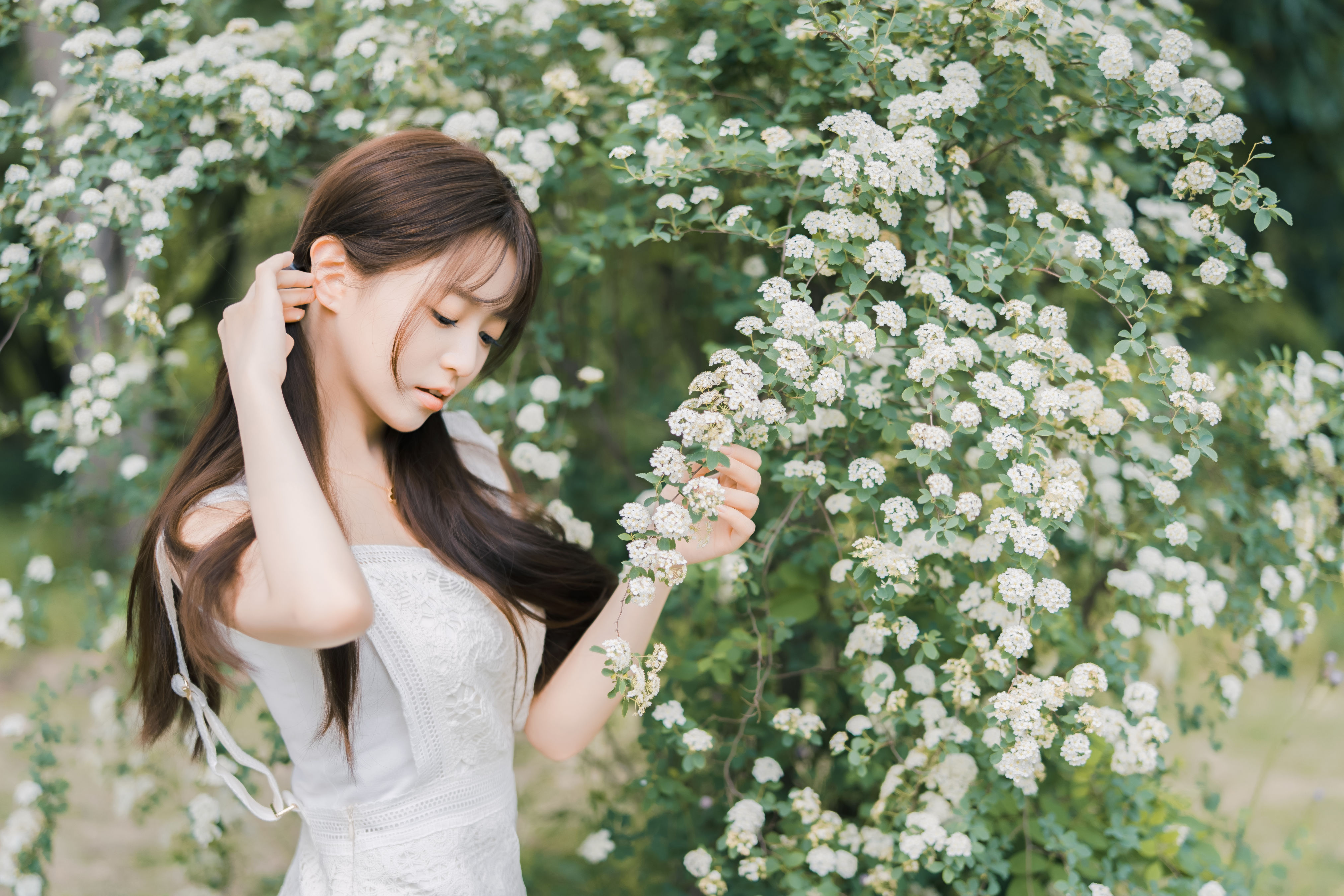 蔷薇小可爱1